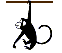 For a free psychic reading from a monkey click here!